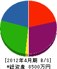松田配管工業 貸借対照表 2012年4月期