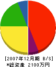 橋本組 貸借対照表 2007年12月期