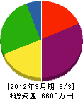 武蔵野綜合防災 貸借対照表 2012年3月期