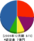 山本金属製作所 貸借対照表 2009年12月期