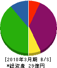 榊原 貸借対照表 2010年3月期