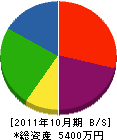 タカハシ幸平 貸借対照表 2011年10月期