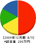 山崎塗装 貸借対照表 2009年12月期