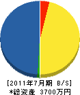 坂本電機設備工業 貸借対照表 2011年7月期