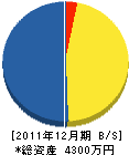 柴坂技建 貸借対照表 2011年12月期 柴坂技建 貸借対照表 2011年12月期