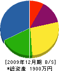 山崎総建 貸借対照表 2009年12月期