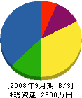 亀山設備 貸借対照表 2008年9月期