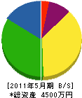 片岡興建 貸借対照表 2011年5月期