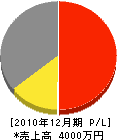 渡邉塗装店 損益計算書 2010年12月期