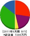 沢井工業 貸借対照表 2011年6月期