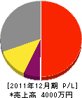 宮崎電気工事店 損益計算書 2011年12月期