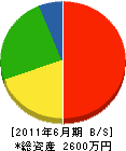 渡辺土木 貸借対照表 2011年6月期