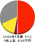 大川電気興業 損益計算書 2009年5月期