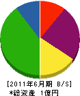 水田建設 貸借対照表 2011年6月期