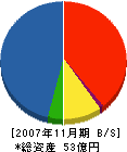 篠崎建設 貸借対照表 2007年11月期