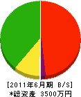 橋本設備工業 貸借対照表 2011年6月期
