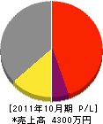 加藤ペイント興業 損益計算書 2011年10月期