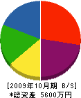大島建築工匠 貸借対照表 2009年10月期