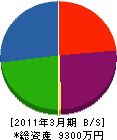 小野電気 貸借対照表 2011年3月期