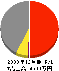 高井電気商会 損益計算書 2009年12月期