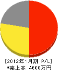 髙電社 損益計算書 2012年1月期