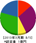 渡辺設備工業 貸借対照表 2013年3月期
