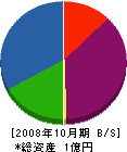 松田建装 貸借対照表 2008年10月期