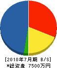 田中工務所 貸借対照表 2010年7月期