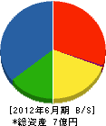 福東 貸借対照表 2012年6月期