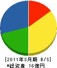 新日本技建 貸借対照表 2011年3月期