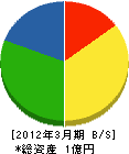櫻井建設 貸借対照表 2012年3月期