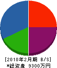 渡辺技研工業 貸借対照表 2010年2月期