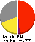 ヨコヤマデンキ 損益計算書 2011年9月期