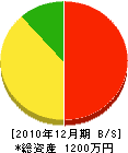 寺島電気工事 貸借対照表 2010年12月期