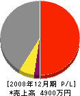 吉岡弘美塗装 損益計算書 2008年12月期