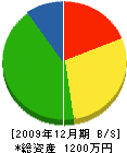 打田水道 貸借対照表 2009年12月期