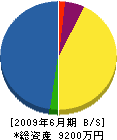 菊石設備 貸借対照表 2009年6月期