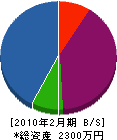 永田建築板金 貸借対照表 2010年2月期