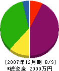 松山商会 貸借対照表 2007年12月期