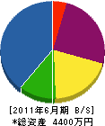 緑花百景 貸借対照表 2011年6月期