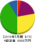 小沢建設 貸借対照表 2010年5月期