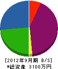 藤川設備 貸借対照表 2012年9月期
