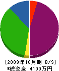 サーク 貸借対照表 2009年10月期