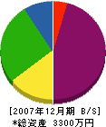 小川電機商会 貸借対照表 2007年12月期