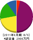 横田組 貸借対照表 2011年6月期