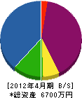 静岡田園 貸借対照表 2012年4月期
