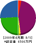 川田産業 貸借対照表 2009年4月期