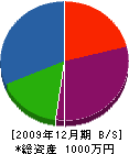 成沢板金工業 貸借対照表 2009年12月期