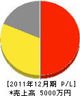 糸魚川防災 損益計算書 2011年12月期