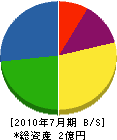 高橋電気 貸借対照表 2010年7月期